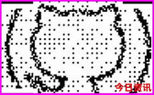 普者黑二日游攻略