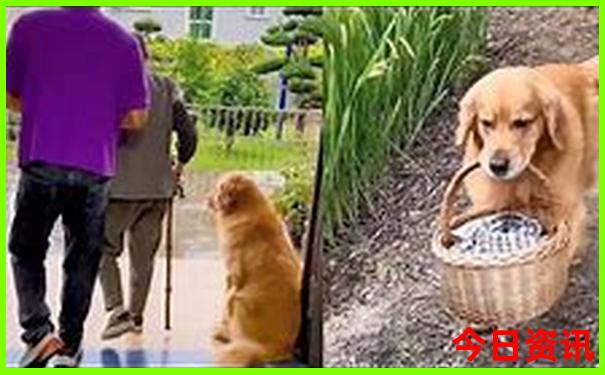 暑假有什么好玩的景点